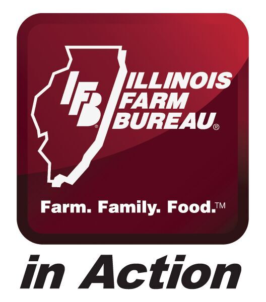 IFB in action logo